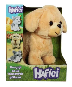 Hafici